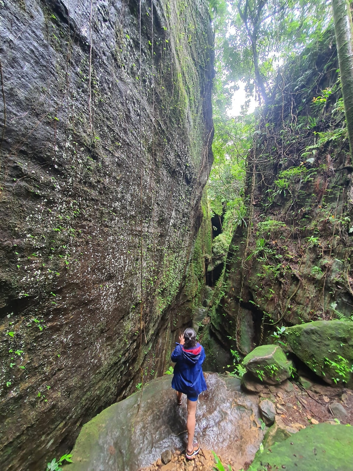 ?IMG-20250616-WA0198