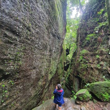 ✅IMG-20250616-WA0198